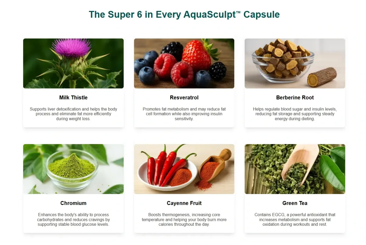 Aquasculpt ingredients